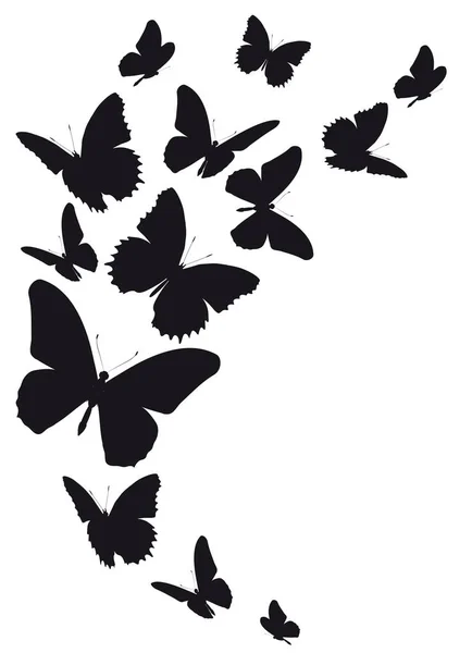 Silhouetten Van Mooie Vlinders Geïsoleerd Een Witte Achtergrond Vector Illustratie — Stockvector