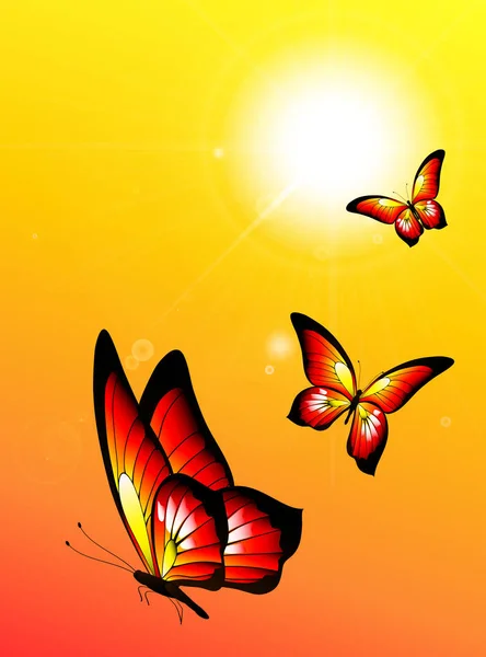 Collection Summer Orange Butterflies Sunny Yellow Background Summer Time Concept — Stock Vector