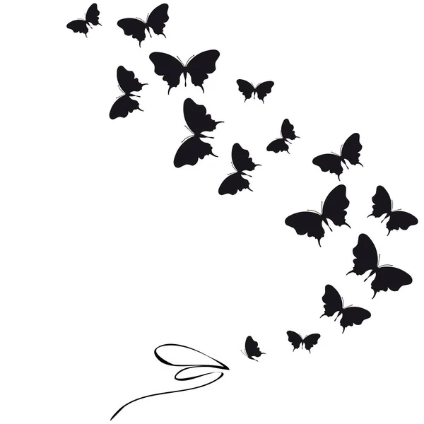 Siluetas Hermosas Mariposas Aisladas Sobre Fondo Blanco Vector Ilustración — Vector de stock