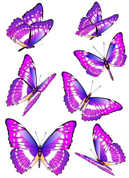 Conjunto Hermosas Mariposas Púrpuras Aisladas Sobre Fondo Blanco Vector Ilustración — Vector de stock