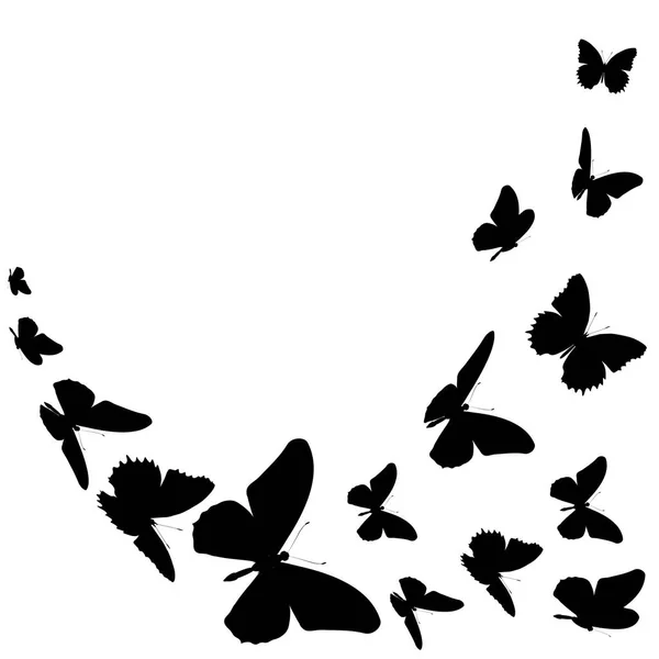Sylwetki Piękne Motyle Białym Tle Białym Tle Wektor Ilustracja — Wektor stockowy