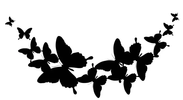 Siluetas Hermosas Mariposas Aisladas Sobre Fondo Blanco Vector Ilustración — Vector de stock