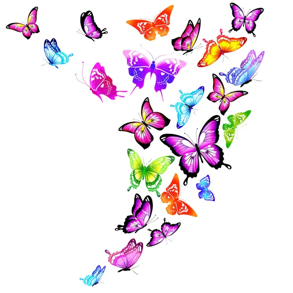 Schöne Schmetterlinge Isoliert Auf Weißem Hintergrund Vektor Illustration — Stockvektor