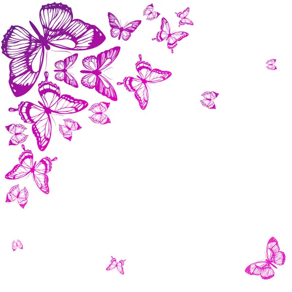 Set Pink Beautiful Butterflies Isolated White Background Vector Illustration — Stock Vector