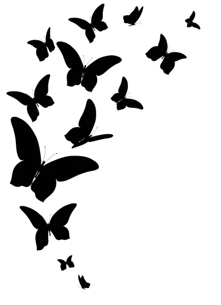 Vektorillustration Schwarzer Schmetterlinge Isoliert Auf Weißem Hintergrund — Stockvektor