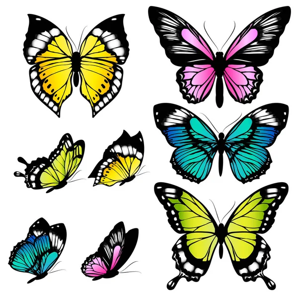 Aantal Prachtige Kleurrijke Vlinders Geïsoleerd Een Witte Achtergrond Vector Illustratie — Stockvector