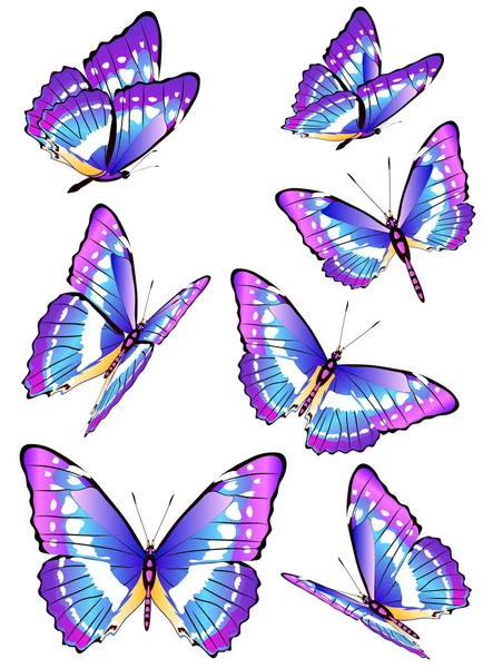 Ilustración Vectorial Colorida Hermosas Mariposas Aisladas Sobre Fondo Blanco — Vector de stock