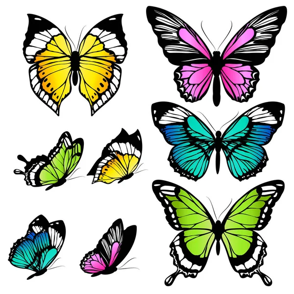 Colorato Illustrazione Vettoriale Belle Farfalle Impostato Isolato Sfondo Bianco — Vettoriale Stock