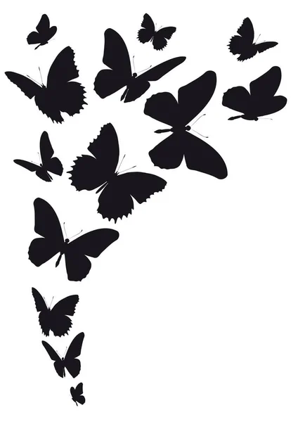 Vektoros Illusztráció Fekete Pillangók Elszigetelt Fehér Background — Stock Vector