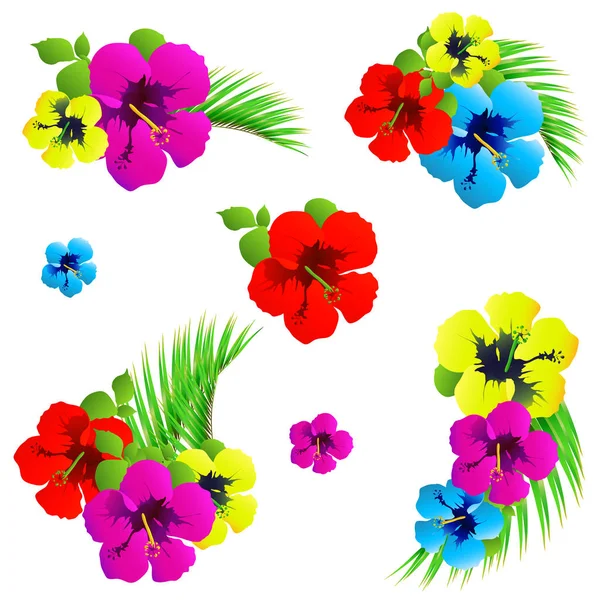 Conjunto Flores Tropicales Brillantes Con Hojas Verdes Aisladas Sobre Fondo — Archivo Imágenes Vectoriales