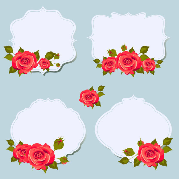 beautiful rose flowers with empty frames on blue background, vector, illustration