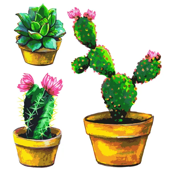 Set Cactus Flower Pots Isolated White Background Vector Illustration — Stock Vector