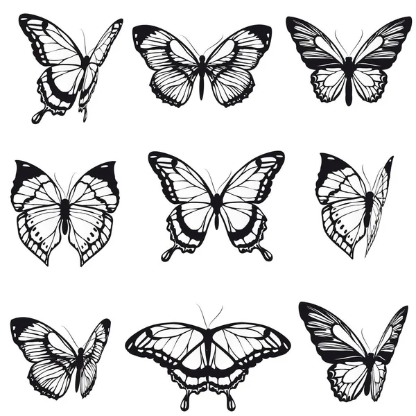 File Farfalle Nere Isolate Sfondo Bianco Vettore Illustrazione — Vettoriale Stock