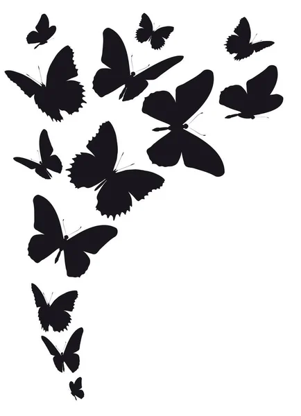 Illustration Vectorielle Papillons Noirs Isolés Sur Fond Blanc — Image vectorielle