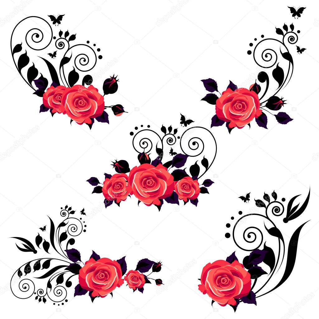 beautiful rose flowers with swirls isolated on white background, vector, illustration
