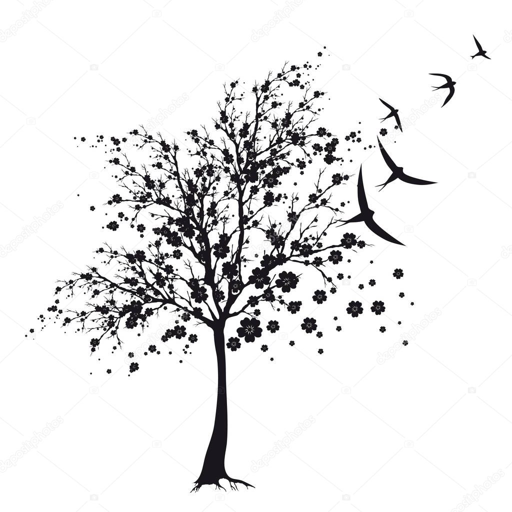 black silhouettes of blossom tree with flying birds, vector, illustration, spring concept 