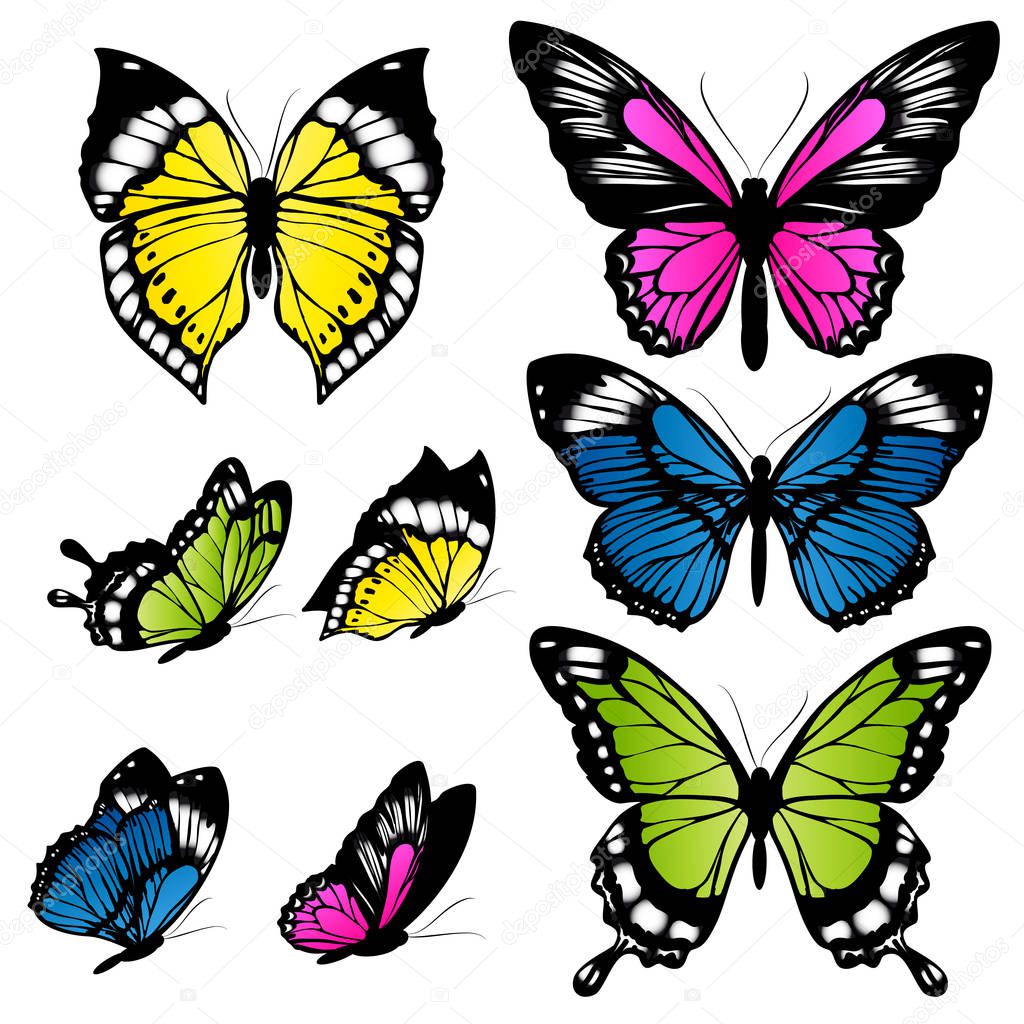 set of hand drawn beautiful colorful butterflies, vector, illustration