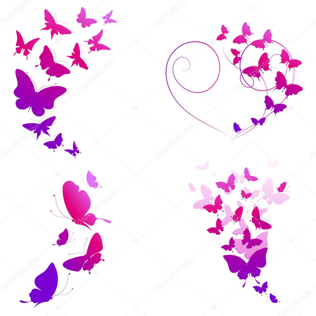 set of purple beautiful butterflies isolated on white background, vector, illustration