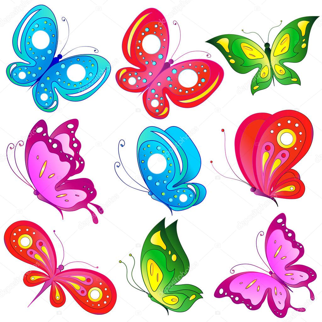 beautiful butterflies isolated on white background, vector, illustration