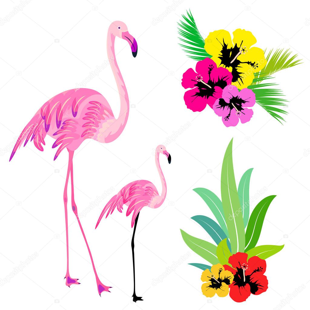 beautiful tropical palm leaves and flamingos isolated on white background, vector, illustration