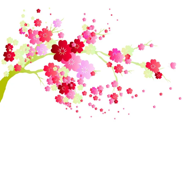 Mooie Roze Bloesem Boom Vector Illustratie Voorjaar Concept — Stockvector