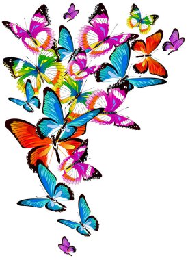 Beyaz arka plan, vektör, illüstrasyon izole renkli uçan kelebekler koleksiyonu ile posta kartı 