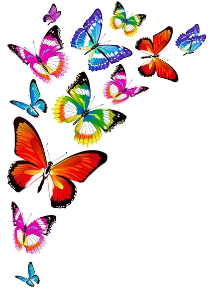 Ταχυδρομική Κάρτα Συλλογή Από Πολύχρωμες Πεταλούδες Πετούν Που Απομονώνονται Λευκό — Διανυσματικό Αρχείο