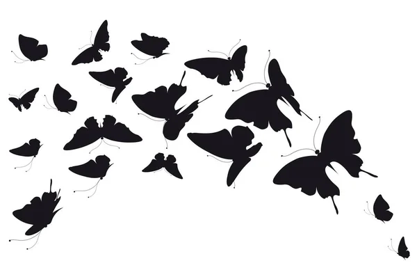 Почтовая Открытка Коллекцией Черных Летающих Бабочек Белом Фоне Вектор Иллюстрация — стоковый вектор