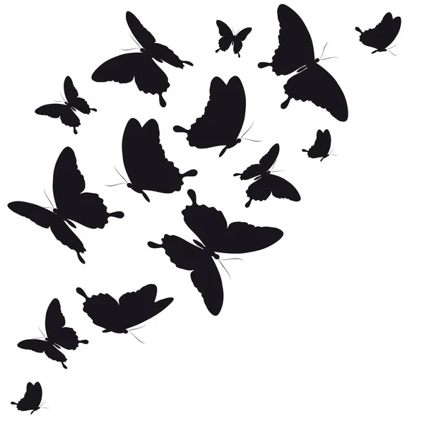Postkarte Mit Sammlung Schwarzer Fliegender Schmetterlinge Isoliert Auf Weißem Hintergrund — Stockfoto