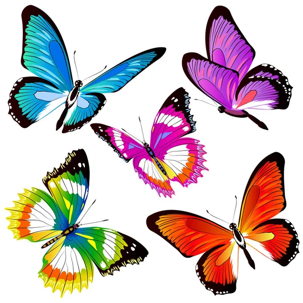 Pocztówka Kolekcji Kolorowe Motyle Latające Izolowana Białym Tle — Zdjęcie stockowe