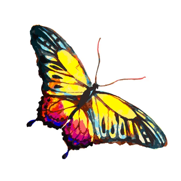 Φωτεινή Πεταλούδα Ακουαρέλα Απομονώνονται Λευκό Φόντο — Φωτογραφία Αρχείου