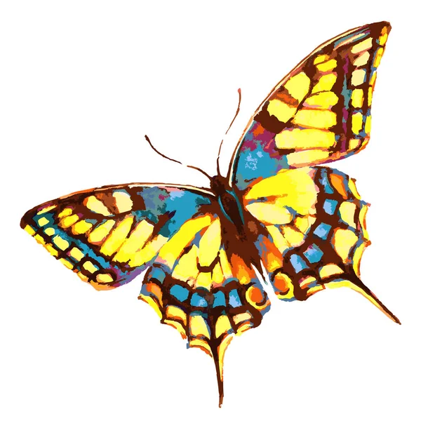 明亮的水彩蝴蝶被隔绝在白色背景上 — 图库照片
