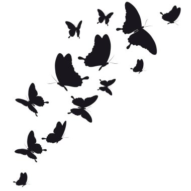 siyah beyaz arka plan, vektör, illüstrasyon izole kelebekler uçan koleksiyonu ile posta kartı