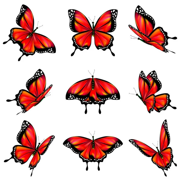 Postkarte Mit Sammlung Roter Fliegender Schmetterlinge Auf Weißem Hintergrund Vektor — Stockvektor