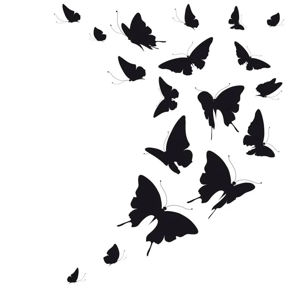 Siyah Beyaz Arka Plan Vektör Illüstrasyon Izole Kelebekler Uçan Koleksiyonu — Stok Vektör