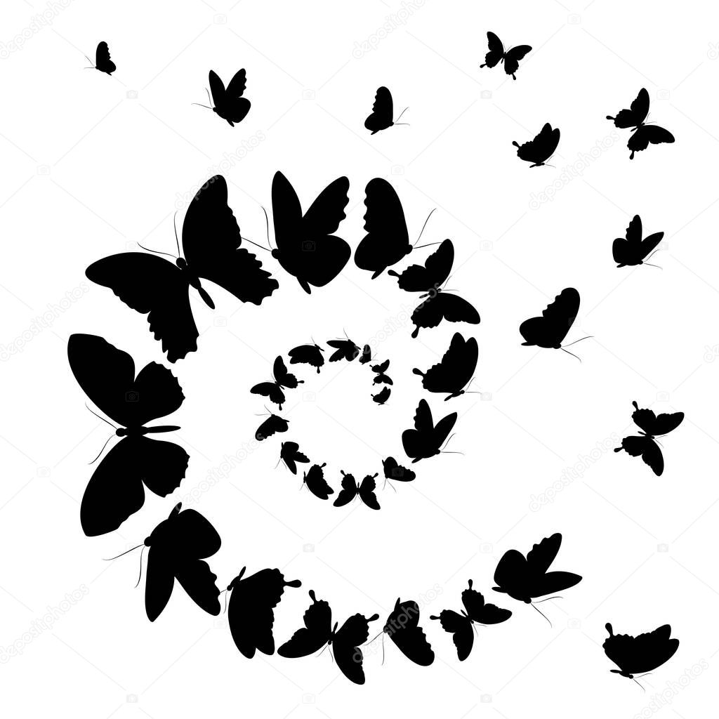 flying black butterflies in form of spiral isolated on white background, vector, illustration