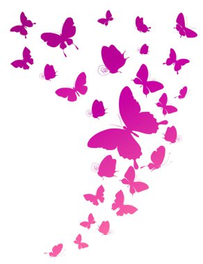 pembe beyaz arka plan üzerinde izole kelebekler uçan koleksiyonu ile posta kartı