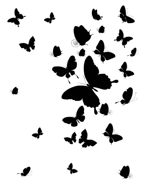 Pohlednice Kolekce Černé Létající Motýli Izolovaných Bílém Pozadí — Stock fotografie