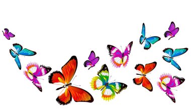 Beyaz arka plan, vektör, illüstrasyon izole renkli uçan kelebekler koleksiyonu ile posta kartı 