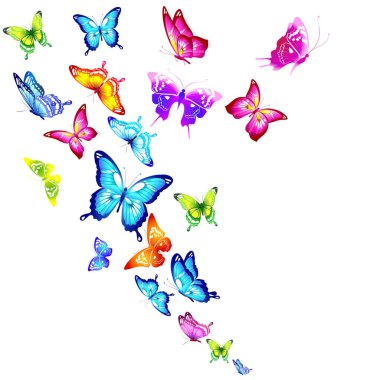 beyaz bir arka plan üzerinde izole güzel renkli kelebekler 