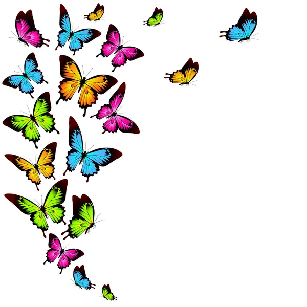 Красивые Цветные Бабочки Изолированы Белом Фоне — стоковый вектор