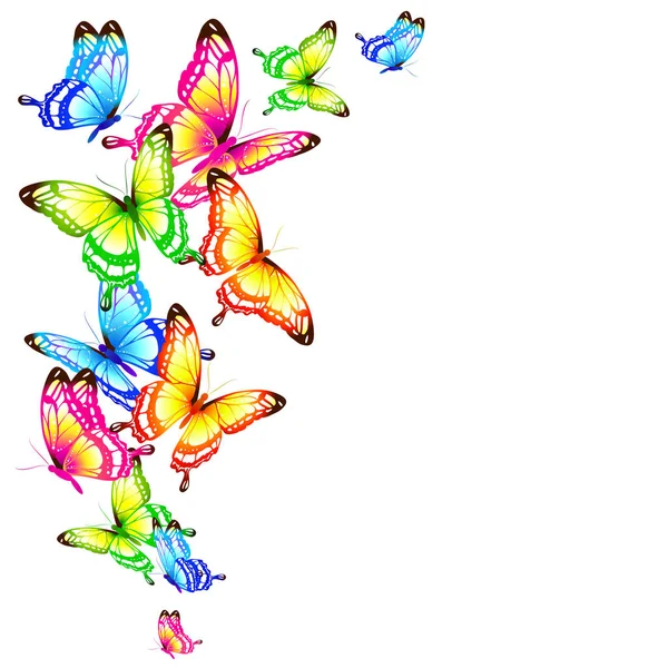 Schöne Farbe Schmetterlinge Isoliert Auf Weißem Hintergrund — Stockvektor