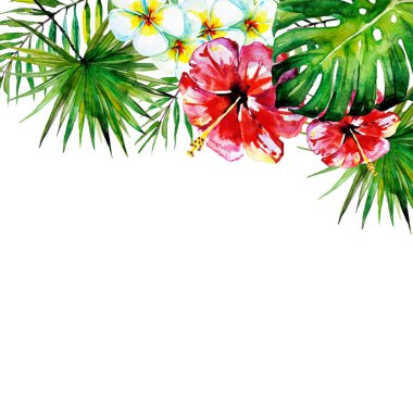 güzel tropikal palmiye yaprakları ve çiçekleri, suluboya