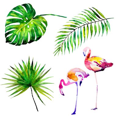 güzel tropikal palmiye yaprakları ve flamingo, suluboya resim