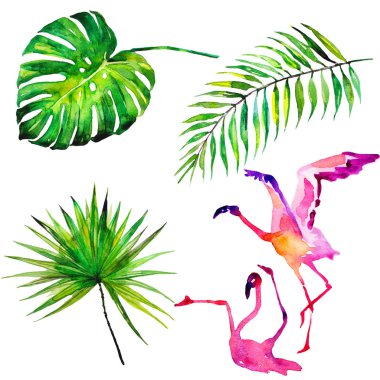 güzel tropikal palmiye yaprakları ve flamingo, suluboya resim