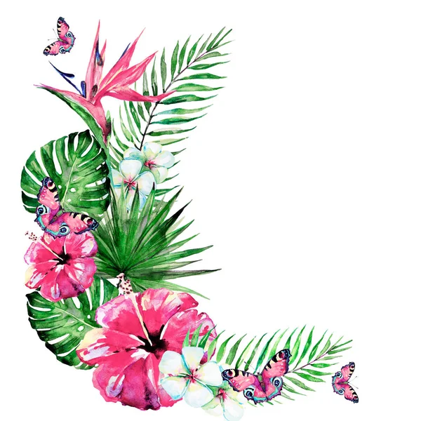 Hawaiian çiçekler, kelebekler, suluboya, egzotik bitkiler, beyaz izole