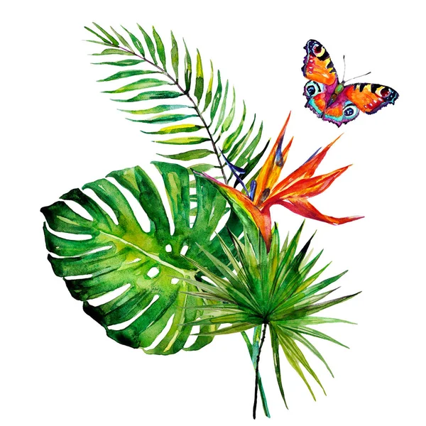 Piękne Tropikalne Palma Liści Kwiatów Akwarela — Zdjęcie stockowe