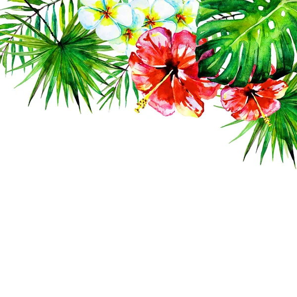 güzel tropikal palmiye yaprakları ve çiçekleri, suluboya