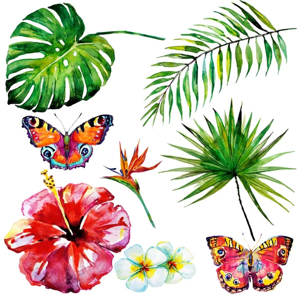 beautiful tropical palm leaves and flowers, watercolor