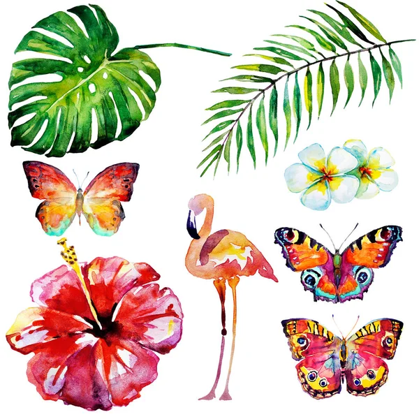 美しい熱帯のヤシの葉と花の水彩画 — ストック写真